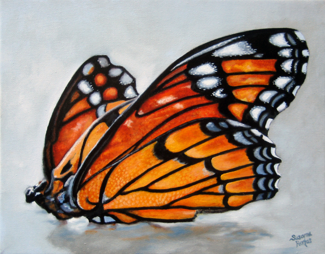 Contemplation: Monarch by Susanna Pantas